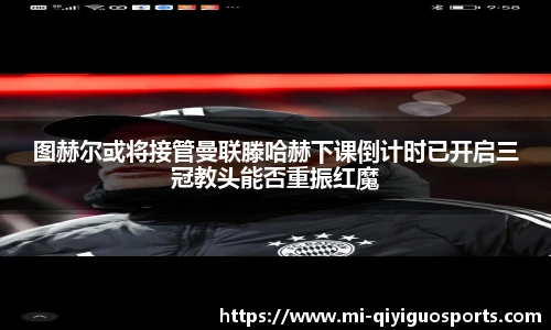 奇异果体育官网入口